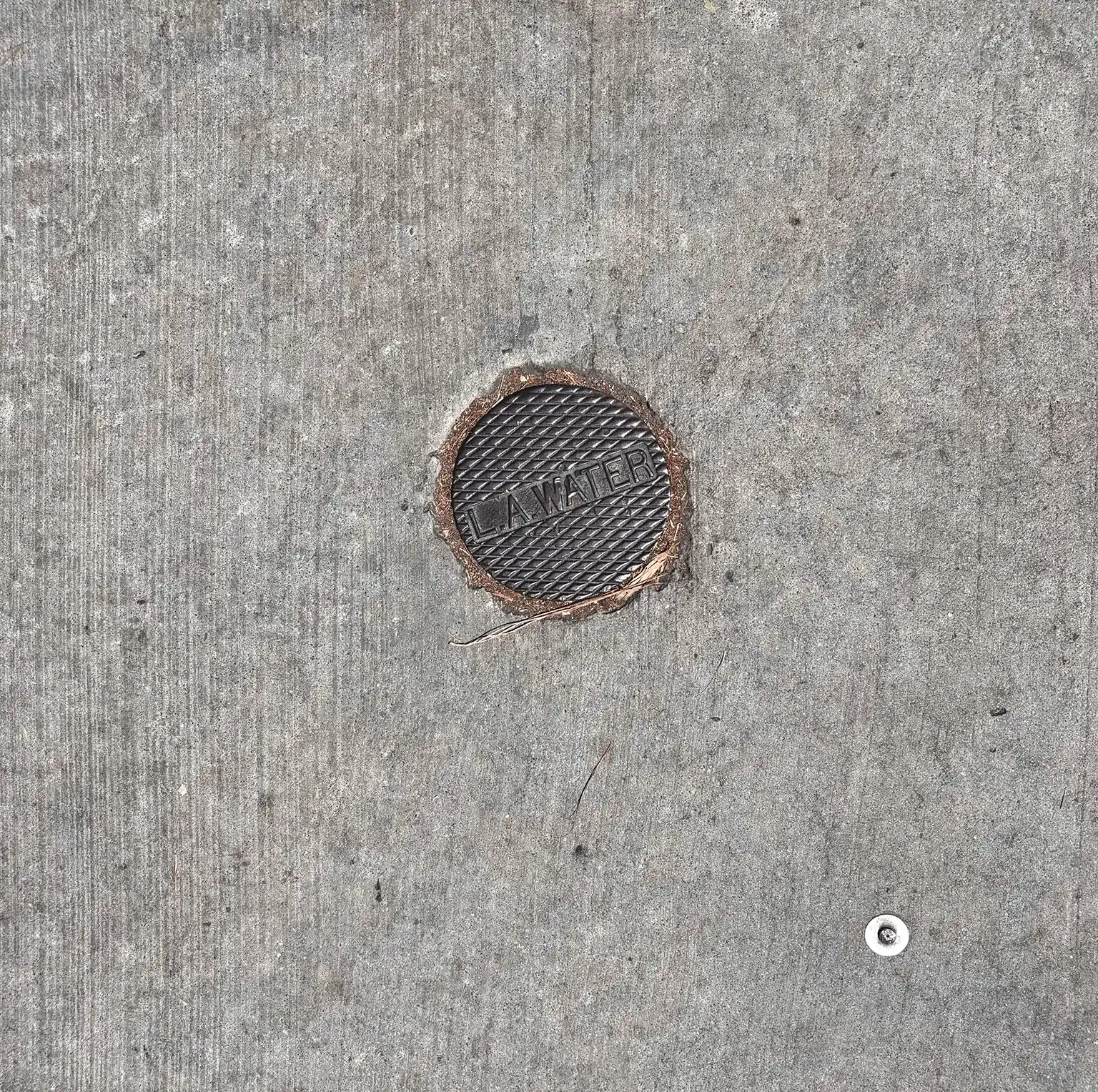 Post WWII standardised water utility cover, 2026